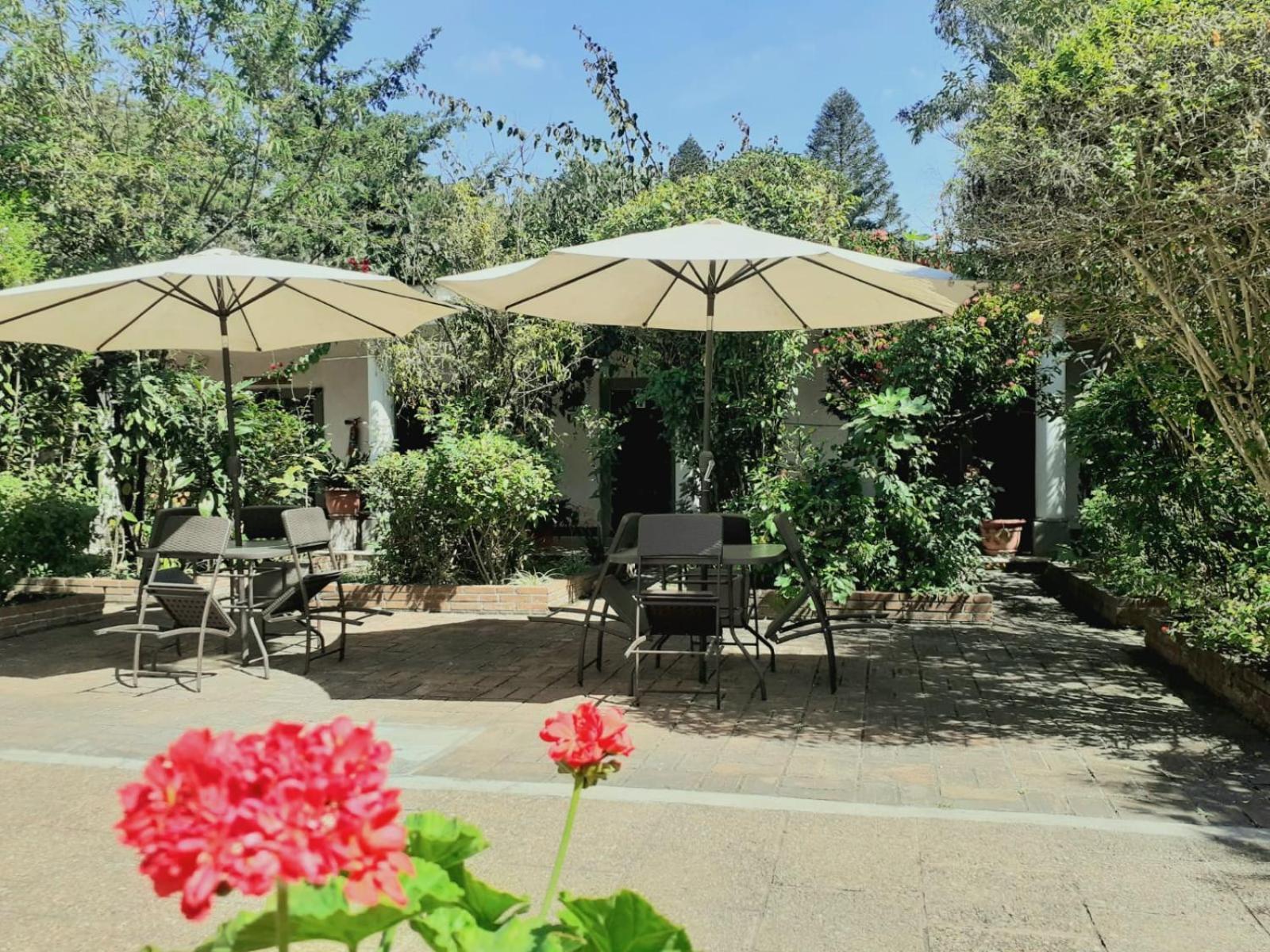 הווהווטננגו La Chacra De Joel Hotel מראה חיצוני תמונה