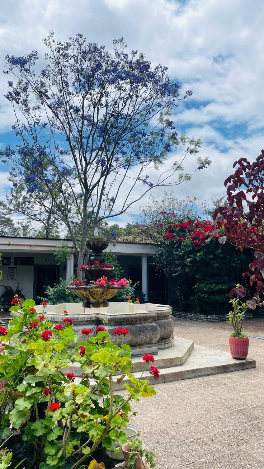 הווהווטננגו La Chacra De Joel Hotel מראה חיצוני תמונה