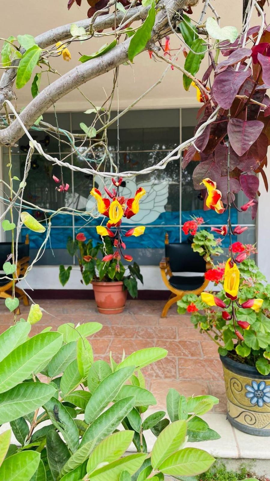 הווהווטננגו La Chacra De Joel Hotel מראה חיצוני תמונה